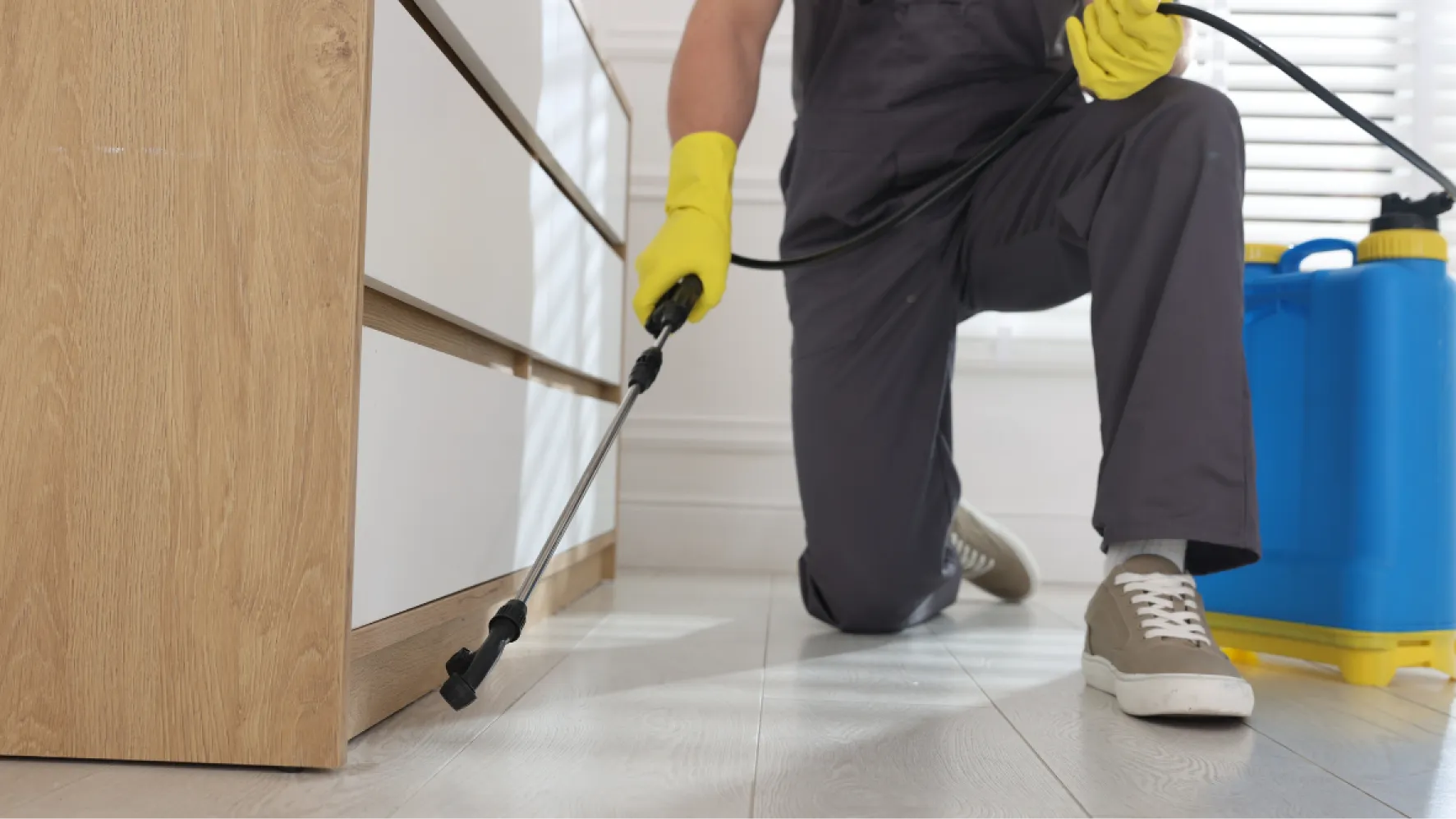 Residential Pest Control Residential Pest Control
